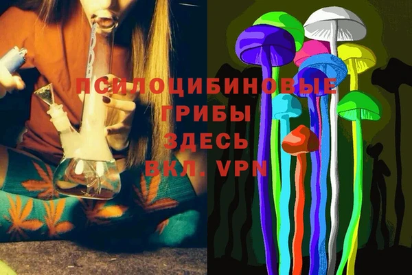 спайс Липки