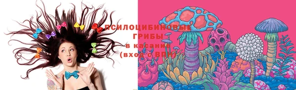спайс Липки