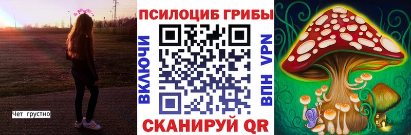 гидра ТОР  купить наркотики цена  Медвежьегорск  Галлюциногенные грибы Magic Shrooms 